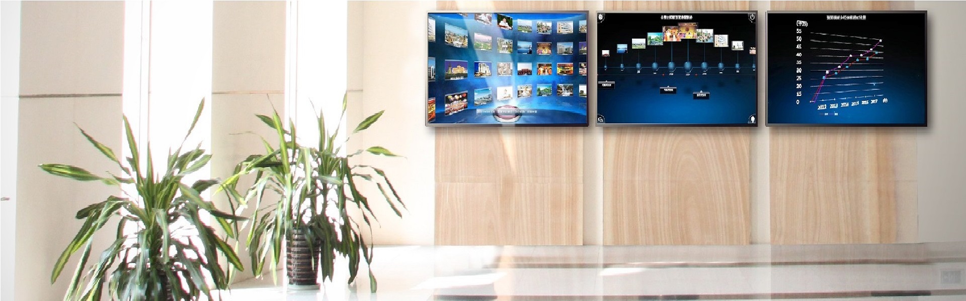 <strong>飛畫顯示平臺解決方案</strong>